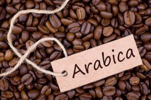 Cà phê hạt Arabica là gì ? Đặc điểm và cách pha cà phê Arabica ngon